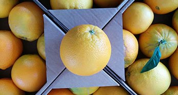 Skrzynka na wymiar pomarańczy i owoców - Custom box of oranges and citrus fruits from Valencia