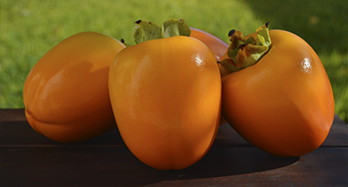Kaki Persimon 18 kg - Cena 53 €