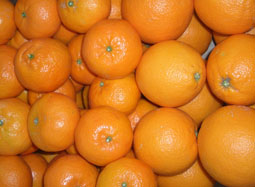 Kup skrzynkę z różnymi owocami - Valencia oranges and mandarins online