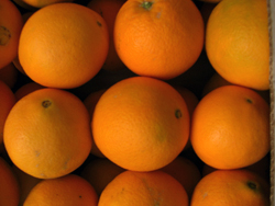 Kup pomarańcze online - Valencia oranges online