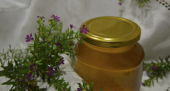 Miód tymiankowy 1 kg - Cena 16 €
