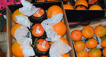 45 pomarańczy i 28 mandarynek gourmet - Cena 60 €